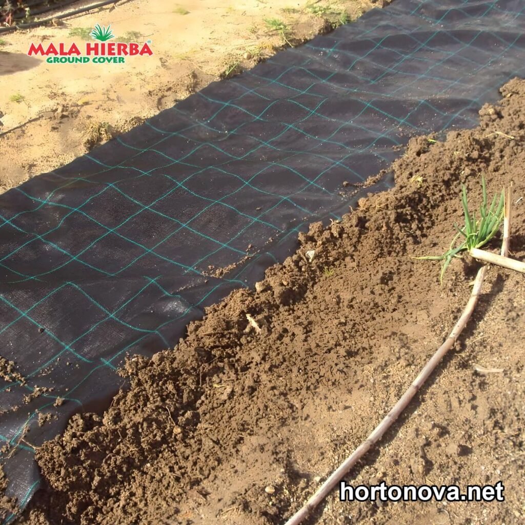 Malla ground cover tejida para Maíz en Jalisco 