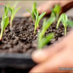 Malla Sombra 35% Obamalla