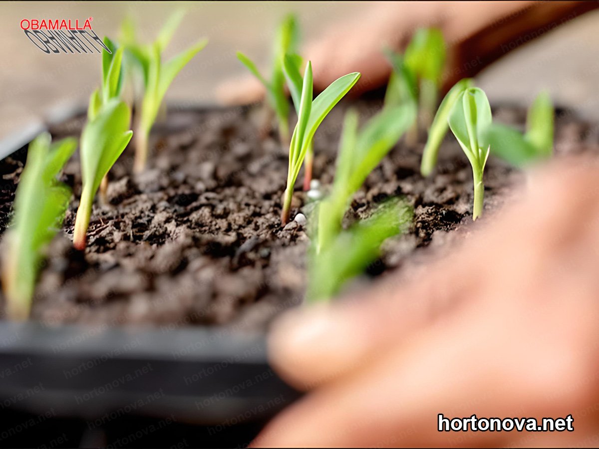 Malla Sombra 35% Obamalla