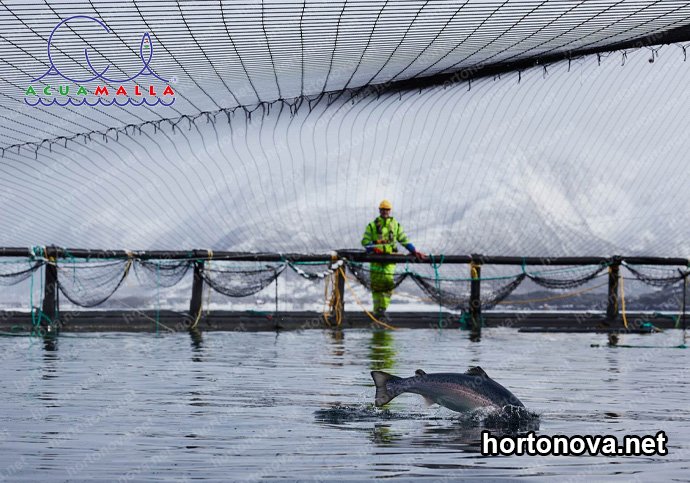 acuicultura