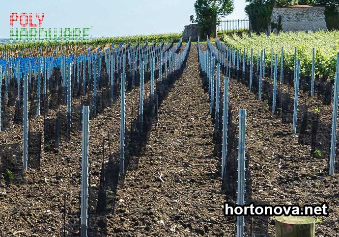 Protección De Arbustos