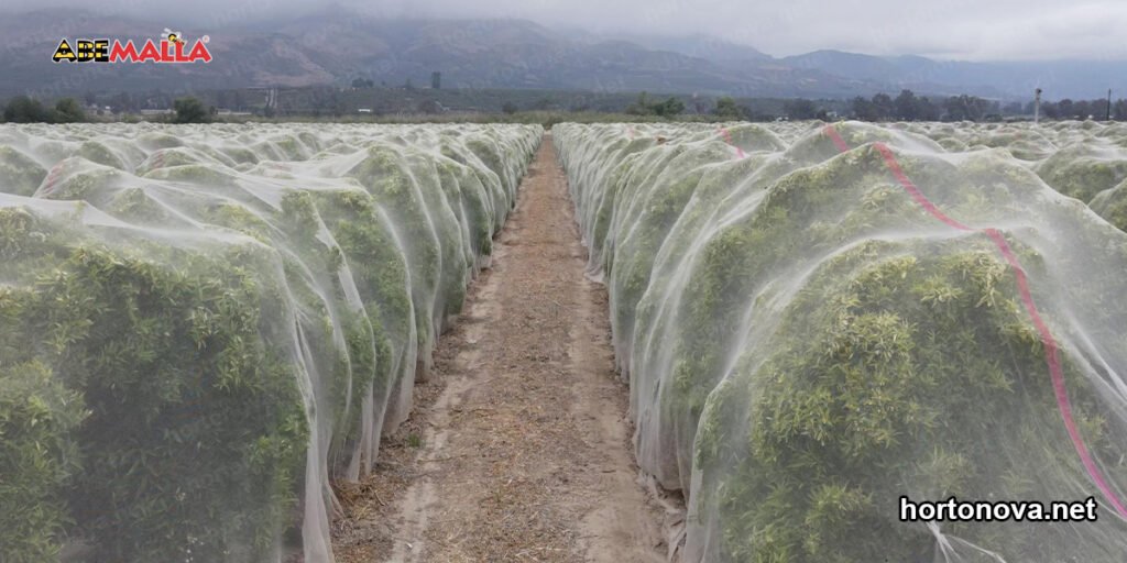 cubre tu cultivo de plagas